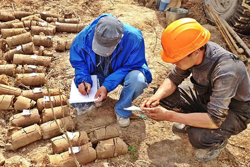 Проведение анализа почвы при геологических изысканиях